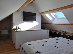 Au Sarseyis - studio d'hôtes - studio équestre